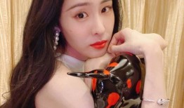 郑爽张碧晨最新爆料,最新爆料揭露惊人内幕！